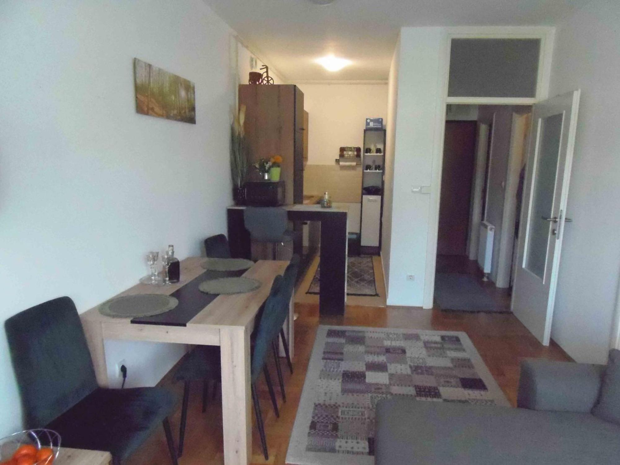6m I M5 Apartment Zagreb